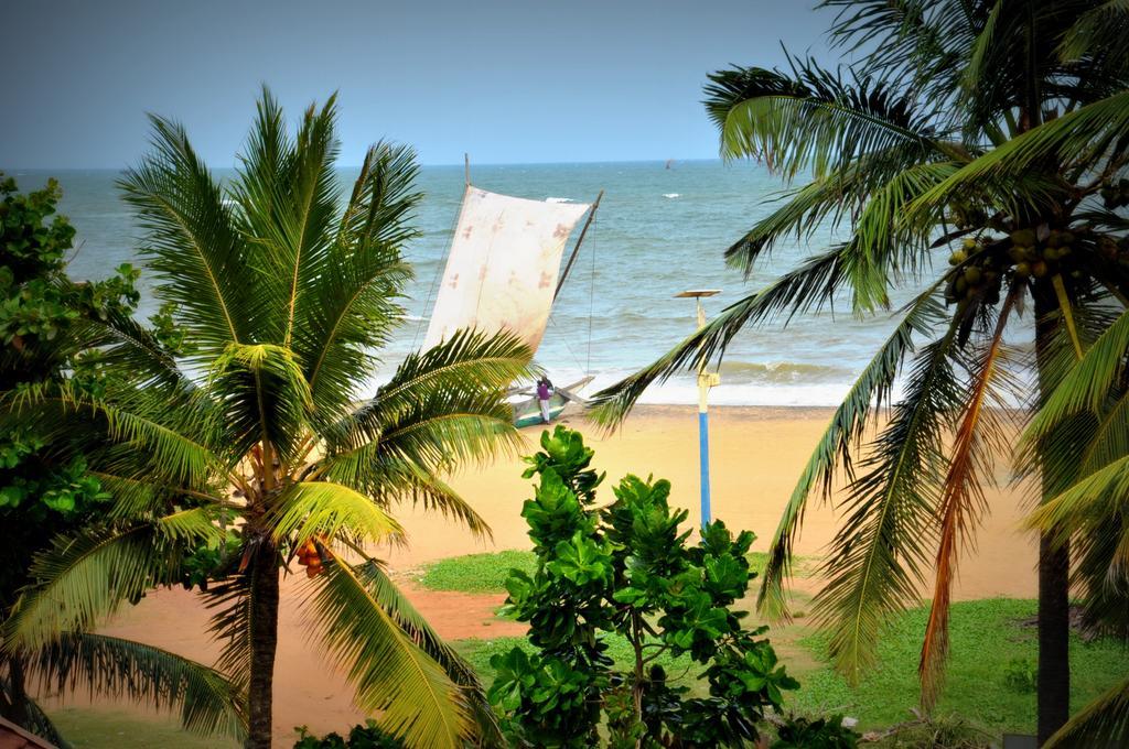 Blumarine Guest House Negombo Extérieur photo
